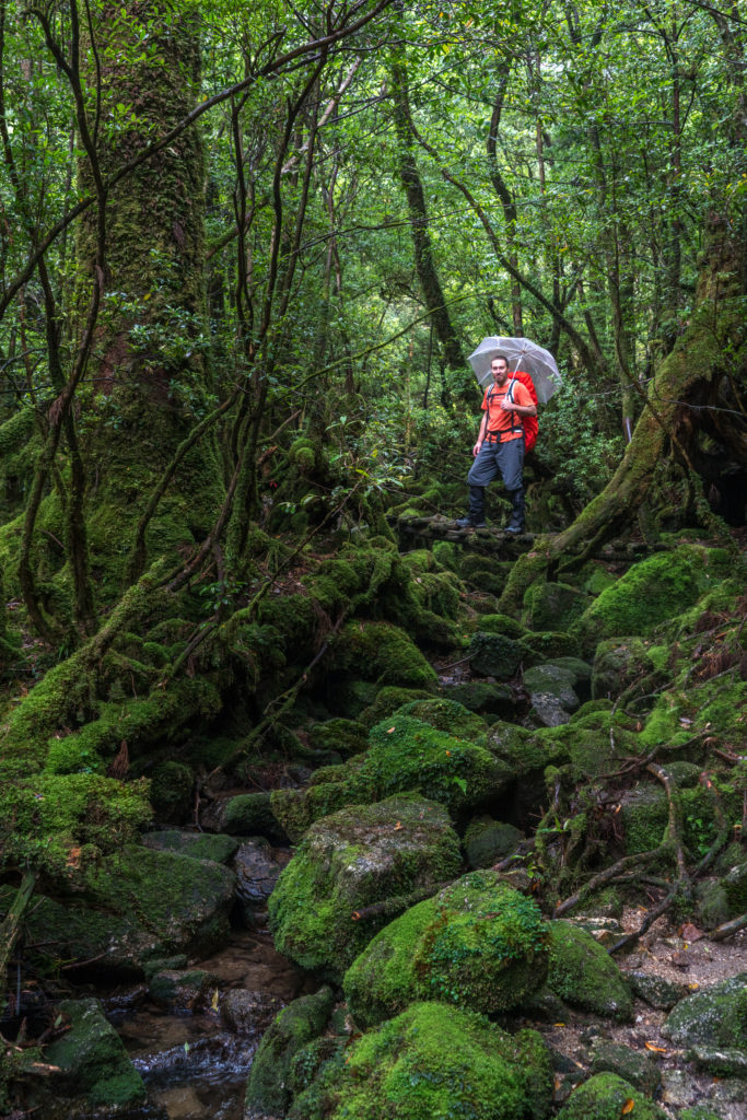 EXPERIENCE PROFILE – YAKUSHIMA EXPERIENCE